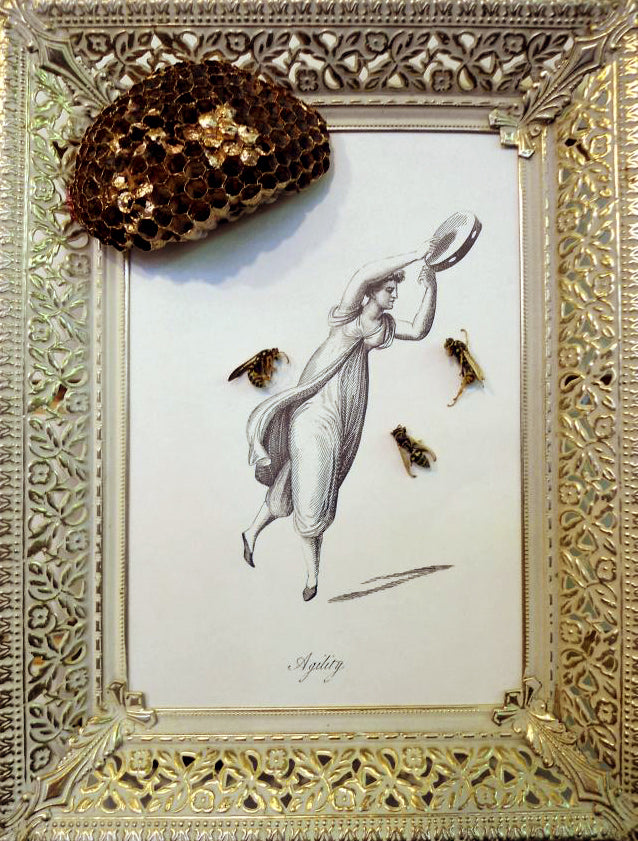 Half Embalmed: Anthropomorphic Taxidermy and Natural Curiosities