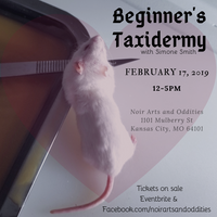 Beginner's Taxidermy Class