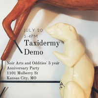 Taxidermy Demo