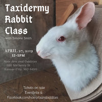 Taxidermy Rabbit Class