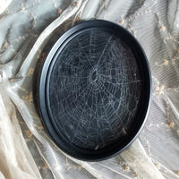 Preserved Spider Webs