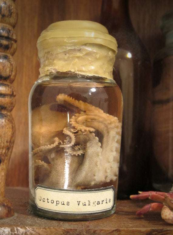 Wet Specimens