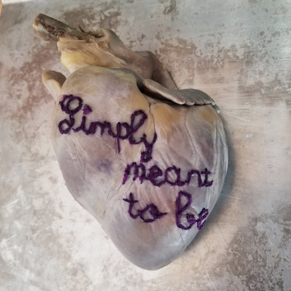 Real fluid preserved wet specimen heart embroidered with "Simply meant to be"