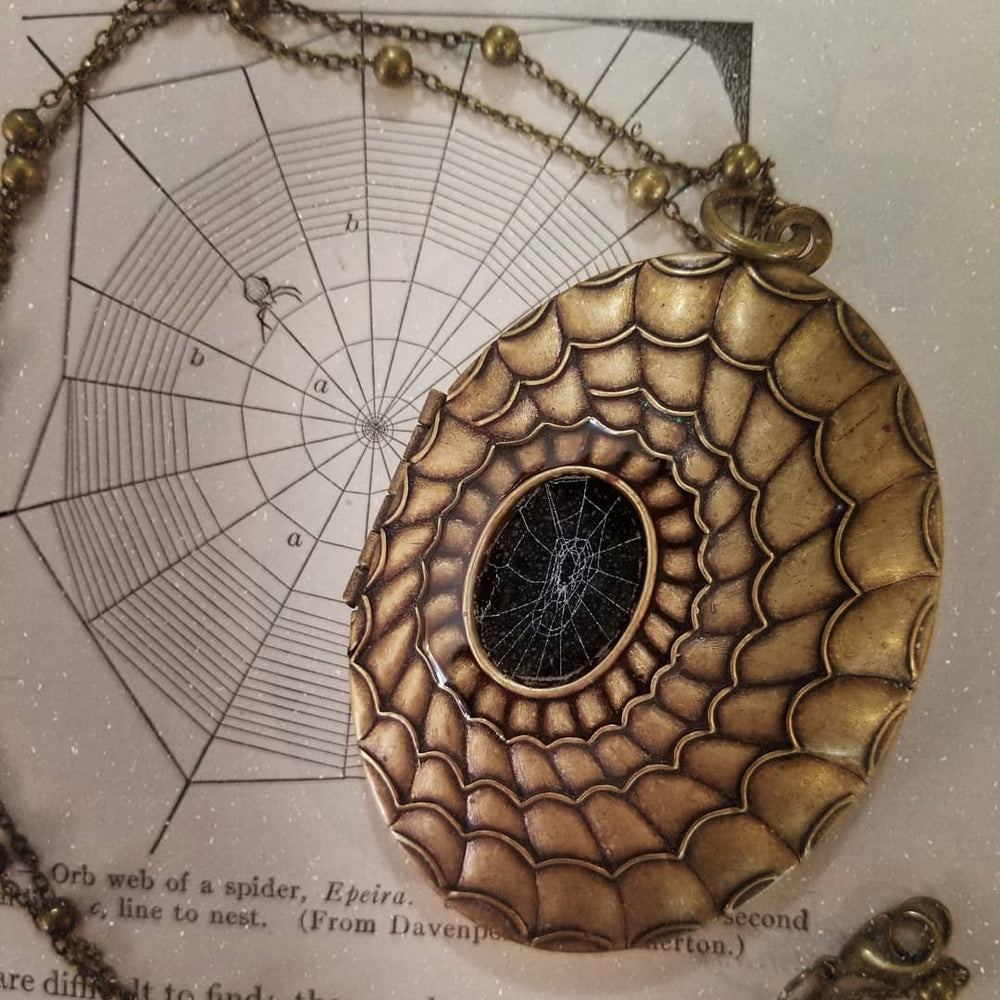 Real Preserved Spiderweb locket necklace