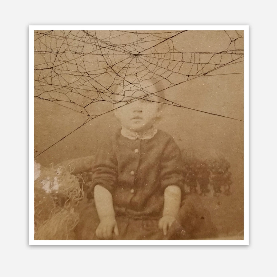 Spiderweb and Child Vinyl Sticker