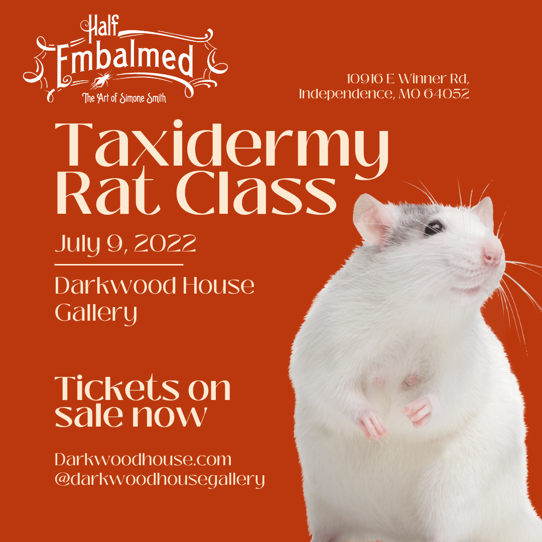 Taxidermy Rat Workshop Ticket - July 9, 2022