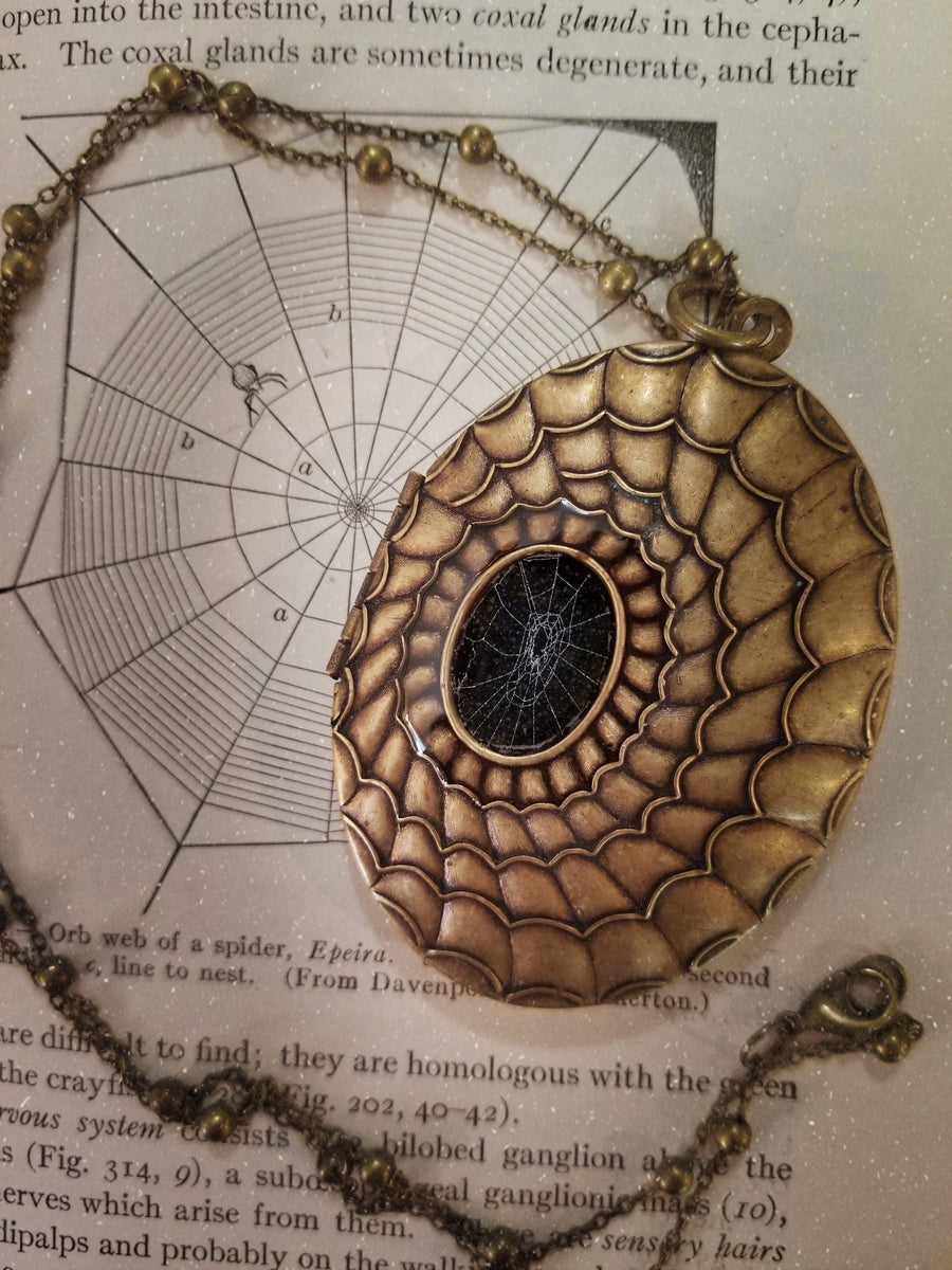 Preserved Spider Web Locket