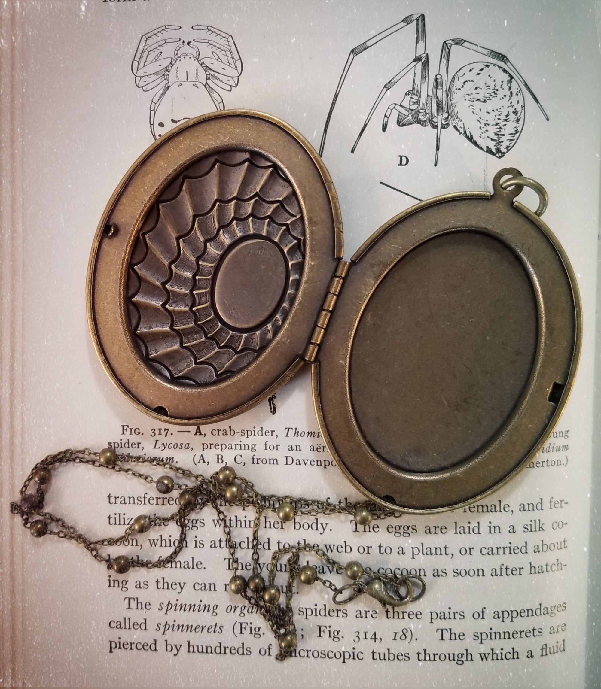 Preserved Spider Web Locket