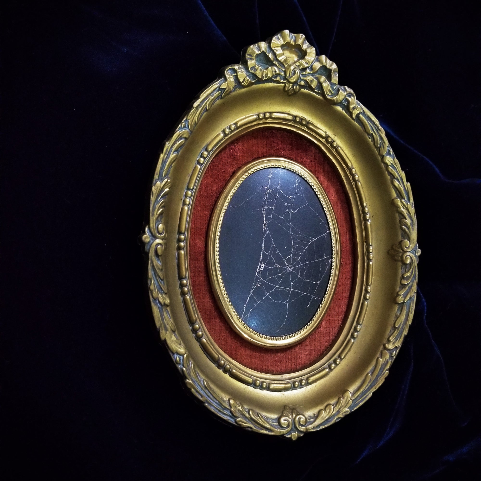 Genuine Preserved Spider Web