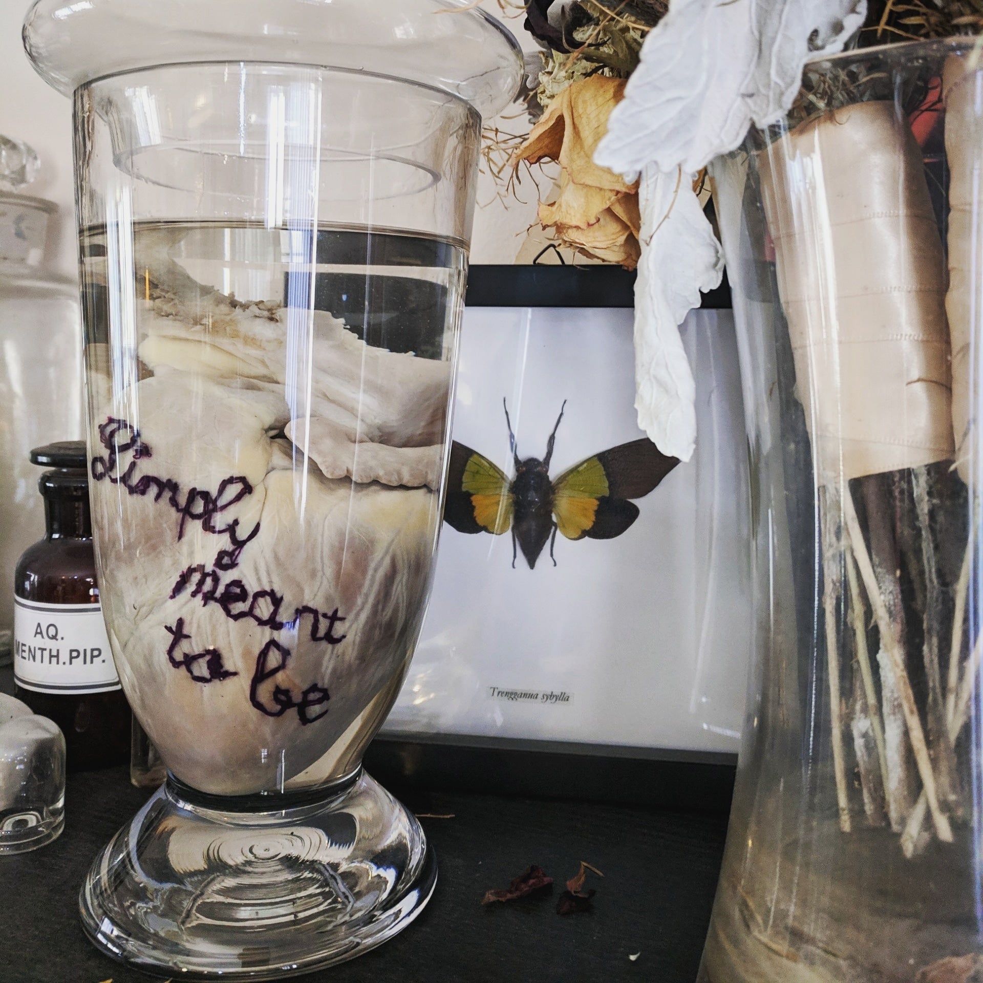 Custom Embroidered Heart Wet Specimen