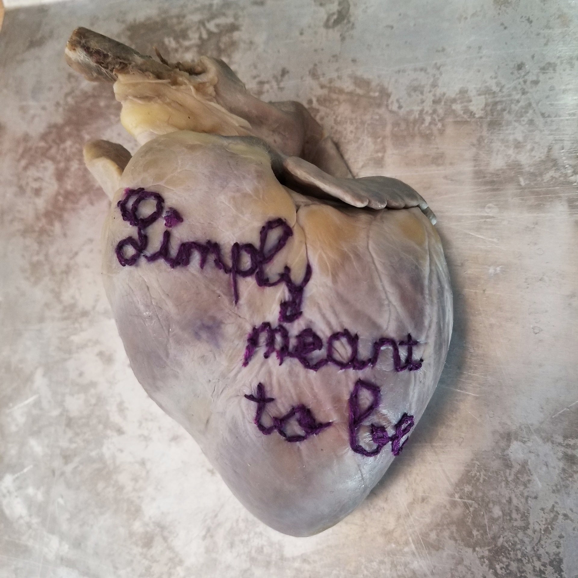 Custom Embroidered Heart Wet Specimen